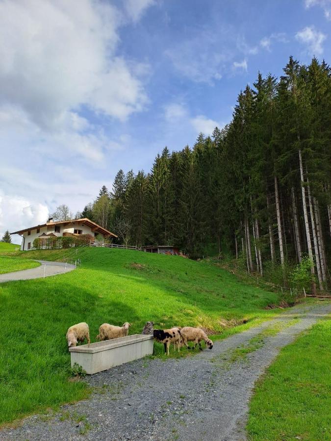 Ferienhaus Hansl Prama Екстериор снимка