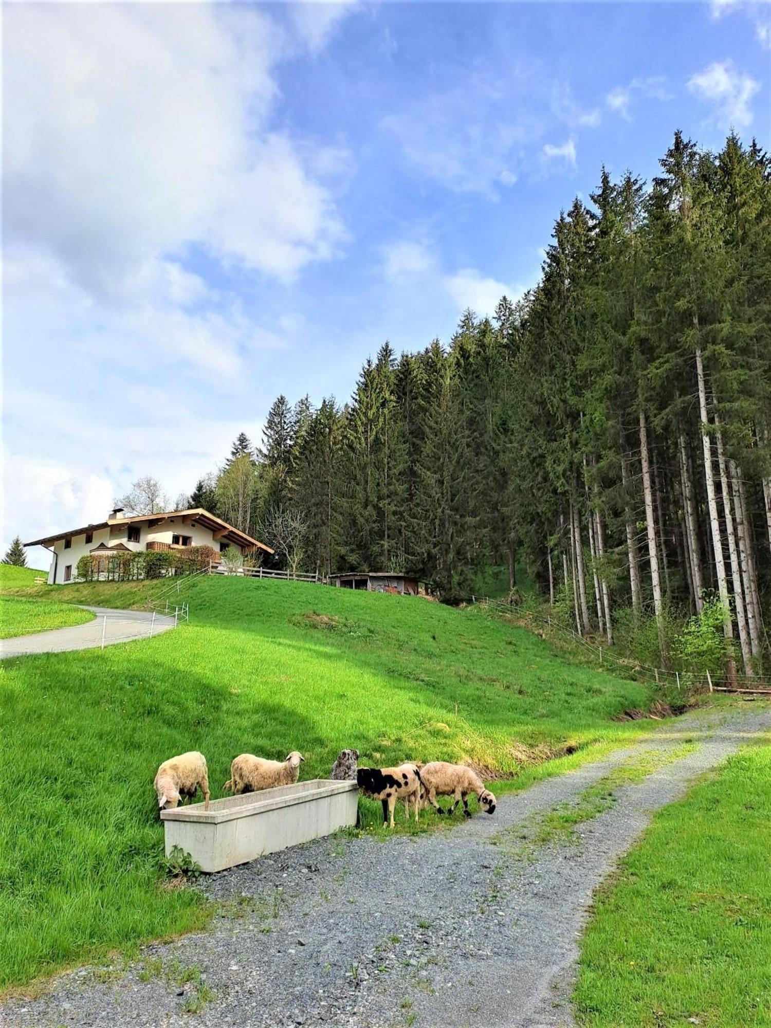 Ferienhaus Hansl Prama Екстериор снимка