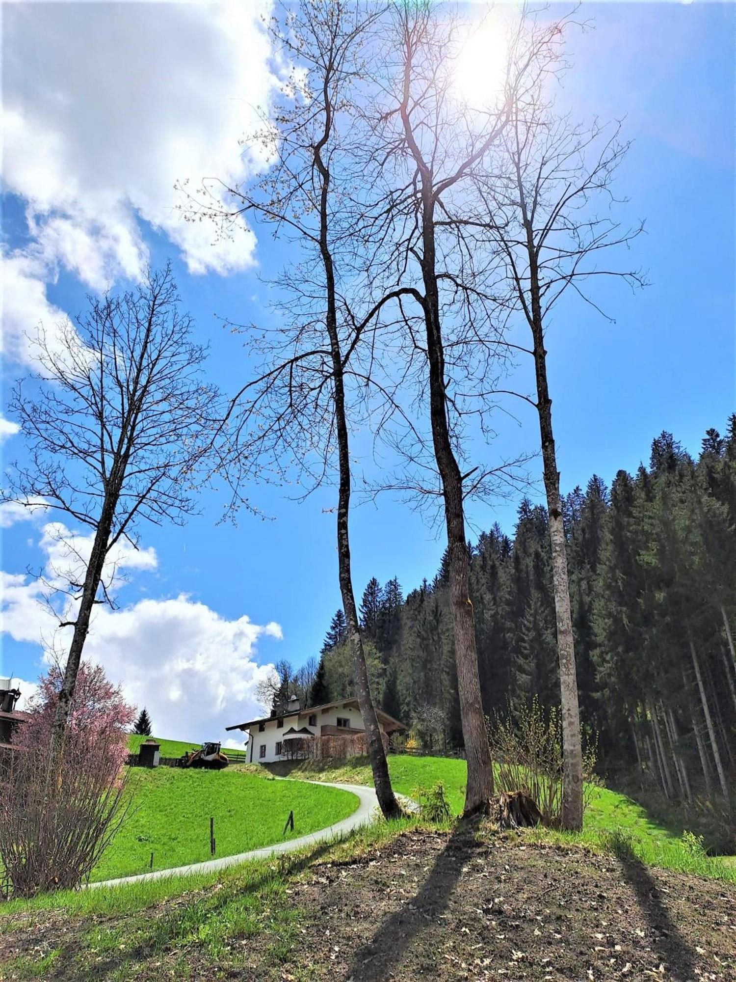 Ferienhaus Hansl Prama Екстериор снимка